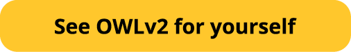 See OWLv2 for yourself